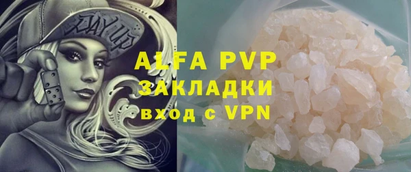 прущие грибы Кукмор