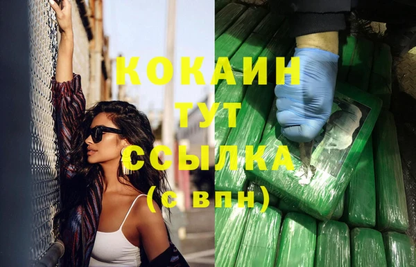 прущие грибы Кукмор