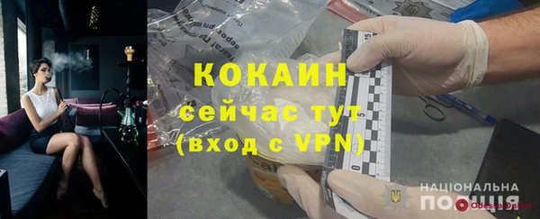 ПСИЛОЦИБИНОВЫЕ ГРИБЫ Кулебаки