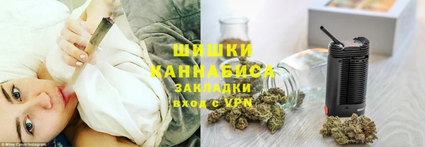 ПСИЛОЦИБИНОВЫЕ ГРИБЫ Кулебаки