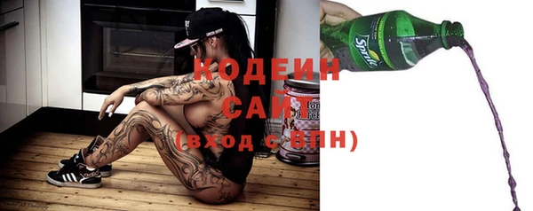 прущие грибы Кукмор