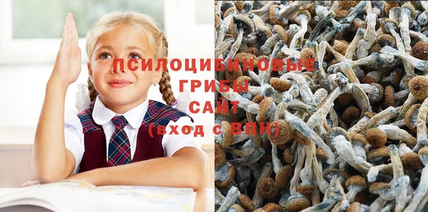 прущие грибы Кукмор