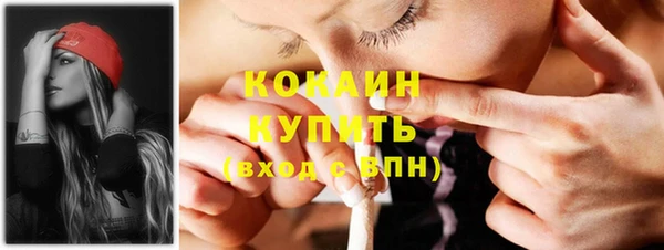 прущие грибы Кукмор