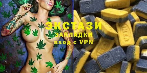 ПСИЛОЦИБИНОВЫЕ ГРИБЫ Кулебаки