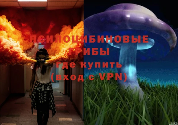 ПСИЛОЦИБИНОВЫЕ ГРИБЫ Кулебаки