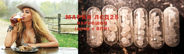 ПСИЛОЦИБИНОВЫЕ ГРИБЫ Кулебаки